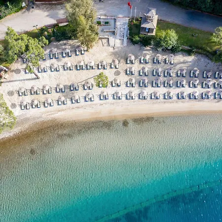 Bay Hotel
